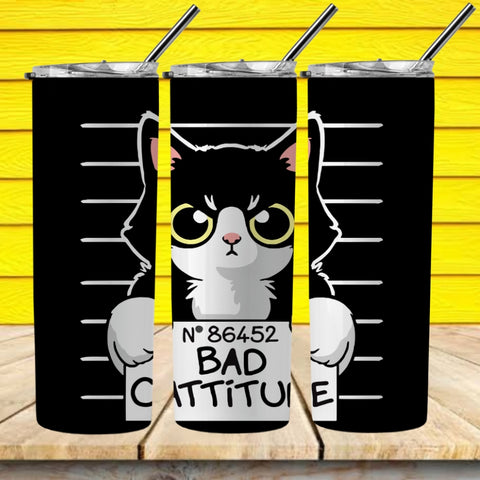 cat bad attitude