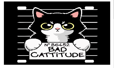 cat bad cattitude license plate transfer